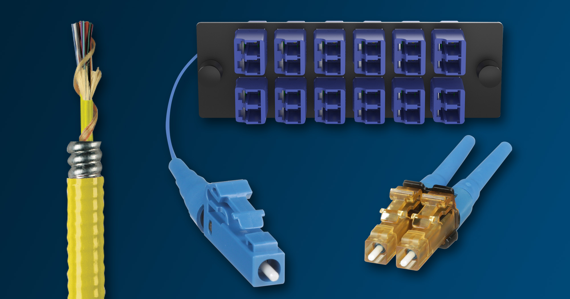 PanGen Singlemode Fiber System Products